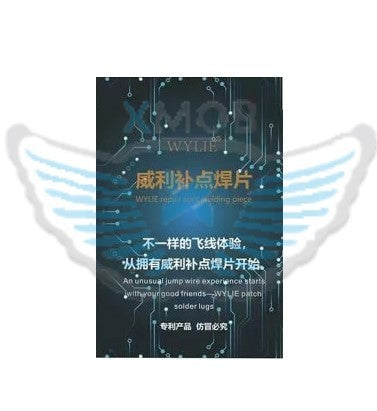 FLYWIRE PER RICOSTRUZIONE PISTE SU SCHEDA MADRE