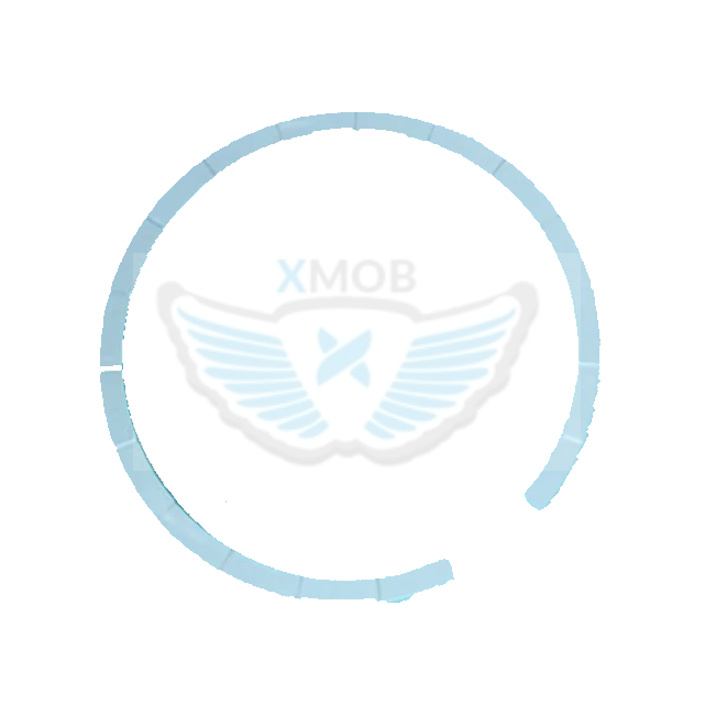 ANELLO MAGNETIZZATO PER NFC IPHONE 16 / 16 PLUS